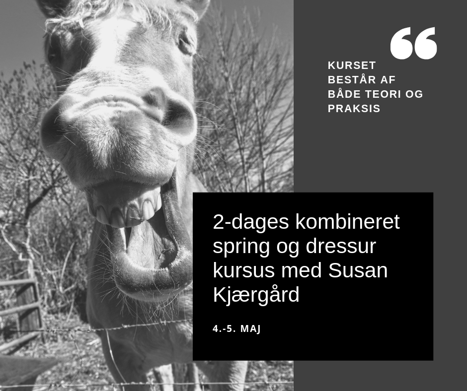 2 dages kursus med Susan Kjærgård